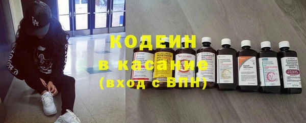 PSILOCYBIN Бородино
