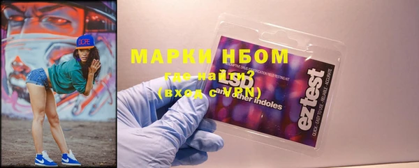 PSILOCYBIN Бородино
