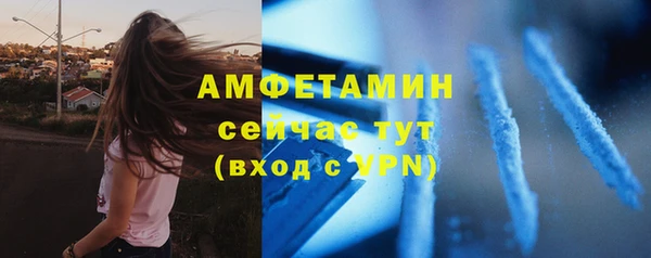 PSILOCYBIN Бородино