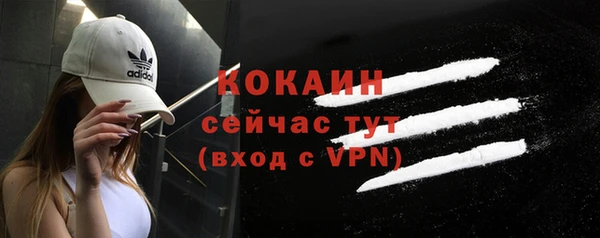 индика Бронницы