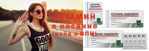 индика Бронницы