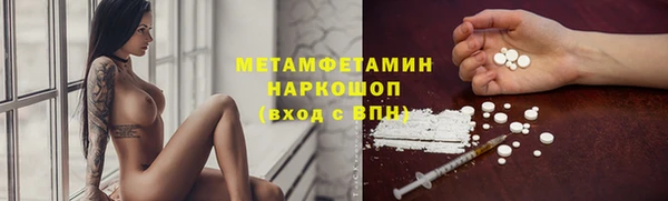 PSILOCYBIN Бородино