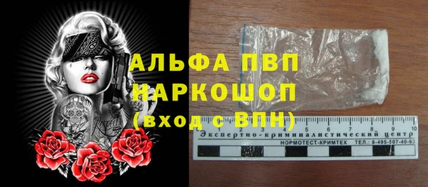 PSILOCYBIN Бородино