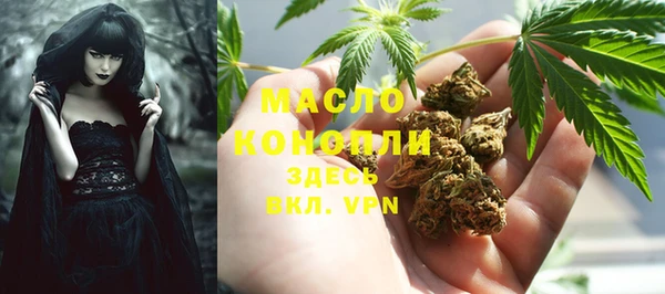 PSILOCYBIN Бородино